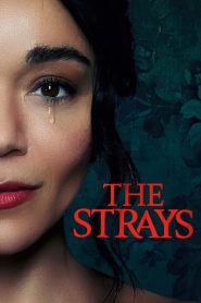 ดูหนังเรื่อง The Strays (2023) คนหลงทาง