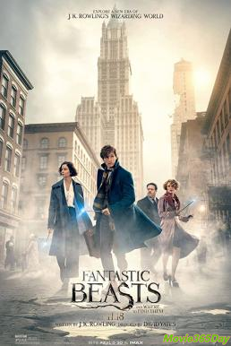 ดูหนังเรื่อง Fantastic Beasts and Where to Find Them สัตว์มหัศจรรย์และถิ่นที่อยู่ (2016)